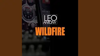 Wildfire
