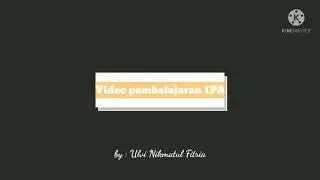 Ulvi Nikmatul Fitria PGMI-I Pembelajaran IPA (Simbiosis)
