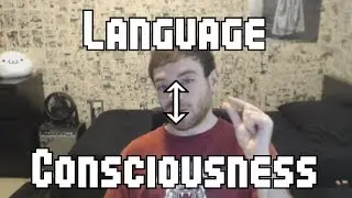 Consciousness and Language Acquisition