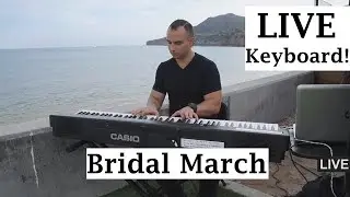 Charlie Walkrich - Bridal March on Piano by Jonathan Cain (Official Music Video)