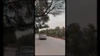 Auliya |Atif Aslam |WhatsApp status |tere rang menu rang auliya |jummah mubarak status| @alyestic._