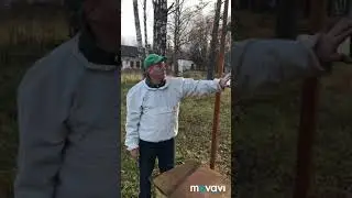 роевая мачта