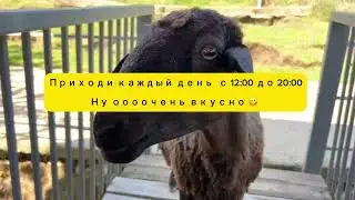 Чайная ротонда ZEN Tea на ферме 