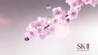 Crystal Clear Skin with New Sakura Limited Edition
