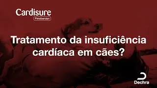 Cardisure - Tratamento principal