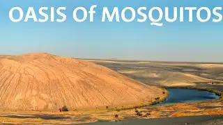 Waw an Namus: Libya's Black Oasis