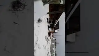 Мотособака 15лс 2