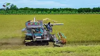 advanced combine for harvesting rice plants