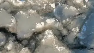 По тонкому льду Троца 5 декабря