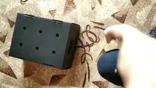 Кот с коробкой.