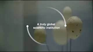 The International Science Council: the global voice for science