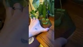 Hot Tee Tiktok greenshieldsmacrame