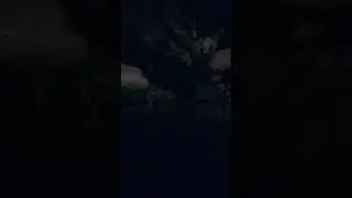 Как выглядит сестринская баня