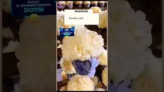 Что бы сказал Джокер? 🤨 #юмор #улыбка #прикол