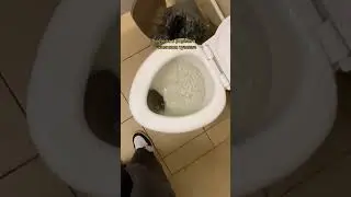 Такое только в мбоу СОШ