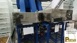 Фасовочно-упаковочный комплекс для фасовки ядер грецкого ореха и других сыпучих продуктов