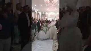 Сынсу кыузату