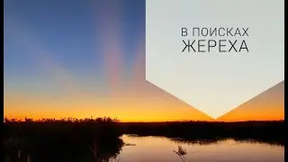 РЕКА Или, ЖЕРЕХ, КОКЖИДЕ, разведка места, ещё рано