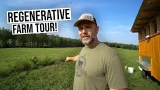 STONEY RIDGE FARMER'S mind blowing REGENERATIVE FARM project!