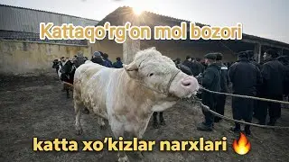 Semiz Ho‘kizlar Savdosi | Bozordagi Eng Qimmatlari🐂📶