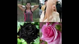 Actress Hot,Naughty memes Bollywood actress hot don'TalkMemes