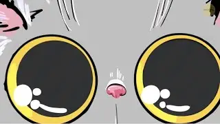 29 Curiosidades Sobre Gatos - Que Te Farão Amar Ainda Mais