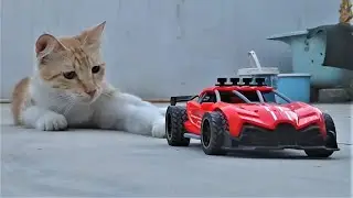 Unboxing  Mini Fast RC CAR