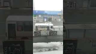 ведьма и осел 🐴