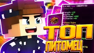 МОЙ НОВЫЙ БОЕВОЙ ПИТОМЕЦ! ТОПОВЫЙ ЛЕДЯНОЙ МИНЬОН! | RPG SKYBLOCK HYPIXEL #10