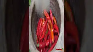 Primitive Technology, Survival skill cooking in the forest, Primitive life in the jungle #11