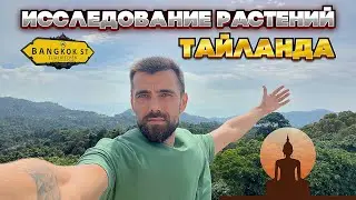 ИССЛЕДОВАНИЕ растений ТАЙЛАНДА | Бангкок - ботанический сад