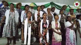 Mifalia mandrakariva (Fanilom-pamonjena)