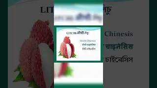 Scientific name|वैज्ञानिक नाम|বৈজ্ঞানিক নাম#science #viral