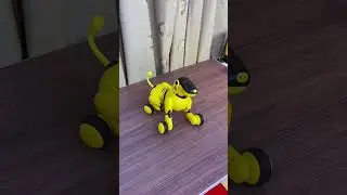 robot toys #kibtoy #toys #funny #toysforkids #cute #toy#dogtoys #robot