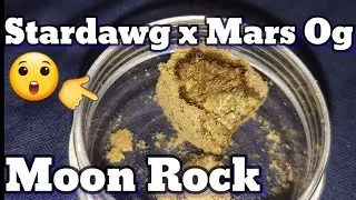 Moon rock review UK (Stardawg x Mars Og) 2020