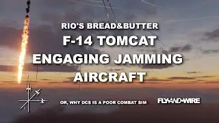 F-14 - Engaging Jamming Aircraft. Or, Why DCS is a Poor Combat Sim
