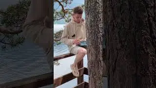 Pulse Drum заряжается или заряжает Алтай 🔥😂 