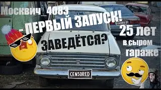 Москвич-408Э  - 25 лет В Сыром Гараже. Жив Он Или Нет?
