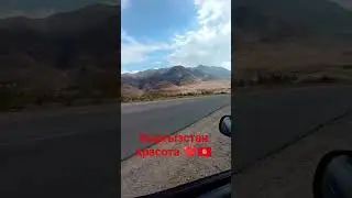 3 сентября 2023 г.