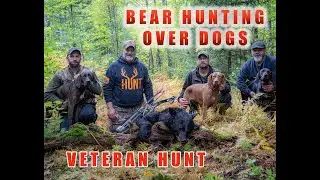 We had to call an Army Veteran to Shoot this Bear