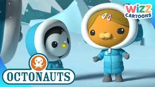 ‪@Octonauts‬
