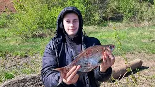 Первые весенние лещи! Под конец рыбалки попался кто-то посерьёзнее! Ловля леща на фидер!