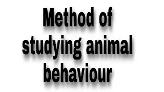#Methods of studying behaviour