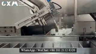 How Does A Cartoning Machine Work?