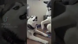 да ты что