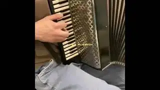 Шамиль Тутаев 