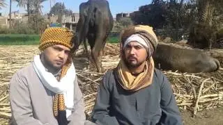 صعيدي عايز يتجوز هتموت من الضحك ههههه