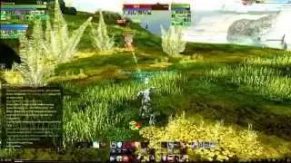 ArcheAge (v0.7)  pvp Archer vol2.