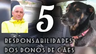 As responsabilidades dos donos de cães!