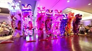 Yau Kung Moon USA - LED Wedding Lion Dance